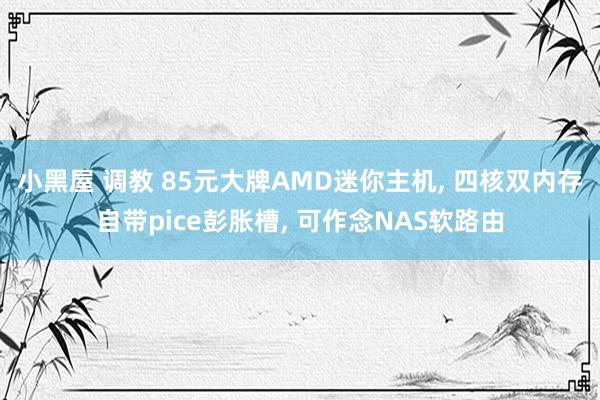 小黑屋 调教 85元大牌AMD迷你主机， 四核双内存自带pice彭胀槽， 可作念NAS软路由