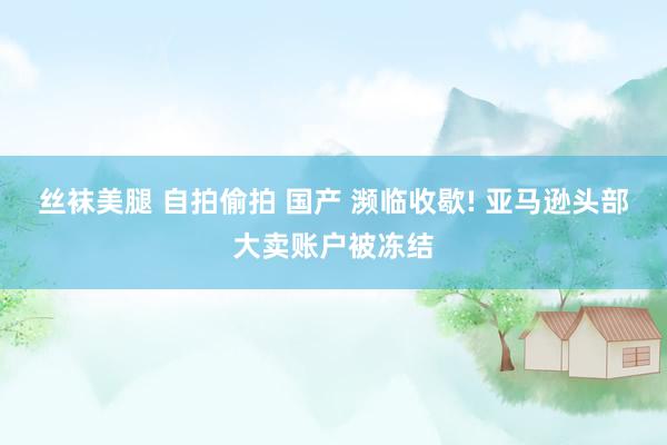 丝袜美腿 自拍偷拍 国产 濒临收歇! 亚马逊头部大卖账户被冻结
