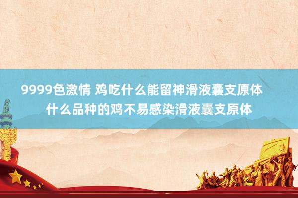 9999色激情 鸡吃什么能留神滑液囊支原体    什么品种的鸡不易感染滑液囊支原体