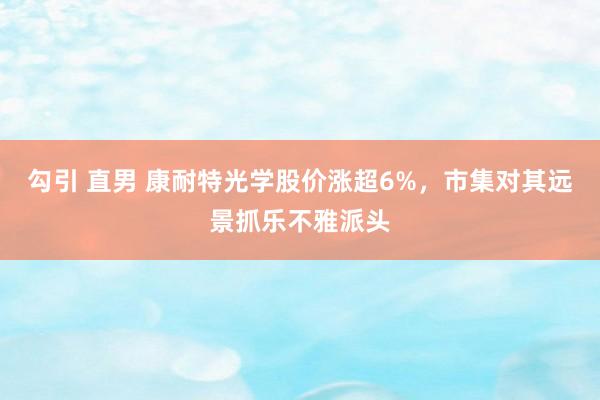 勾引 直男 康耐特光学股价涨超6%，市集对其远景抓乐不雅派头