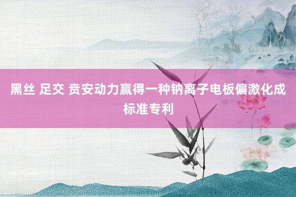 黑丝 足交 贲安动力赢得一种钠离子电板偏激化成标准专利