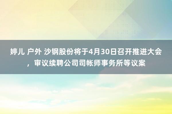婷儿 户外 沙钢股份将于4月30日召开推进大会，审议续聘公司司帐师事务所等议案