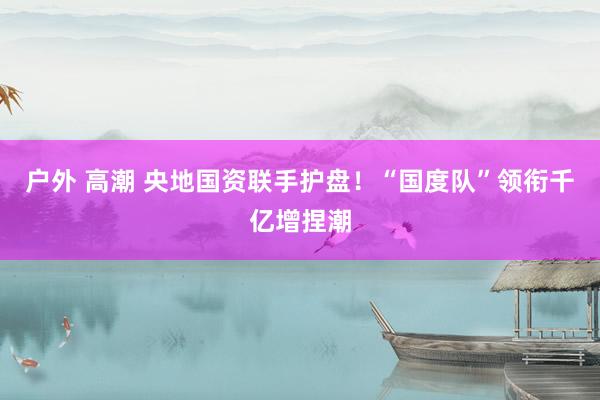 户外 高潮 央地国资联手护盘！“国度队”领衔千亿增捏潮