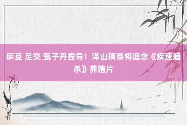 麻豆 足交 甄子丹捏导！泽山璃奈将追念《疾速追杀》养殖片