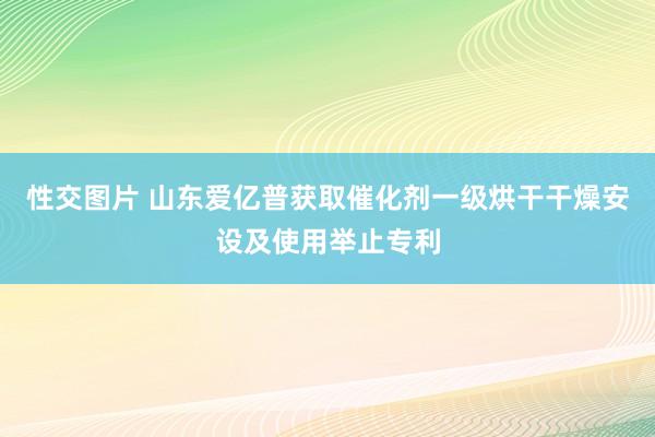 性交图片 山东爱亿普获取催化剂一级烘干干燥安设及使用举止专利