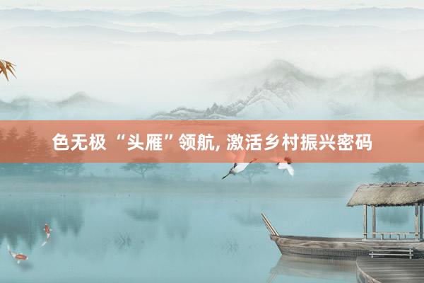 色无极 “头雁”领航， 激活乡村振兴密码