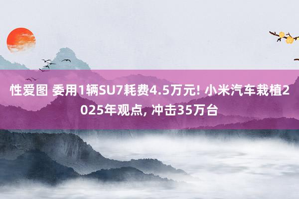 性爱图 委用1辆SU7耗费4.5万元! 小米汽车栽植2025年观点， 冲击35万台