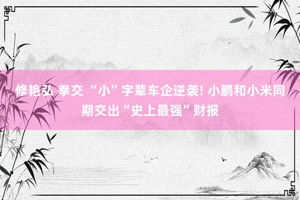 修艳弘 拳交 “小”字辈车企逆袭! 小鹏和小米同期交出“史上最强”财报