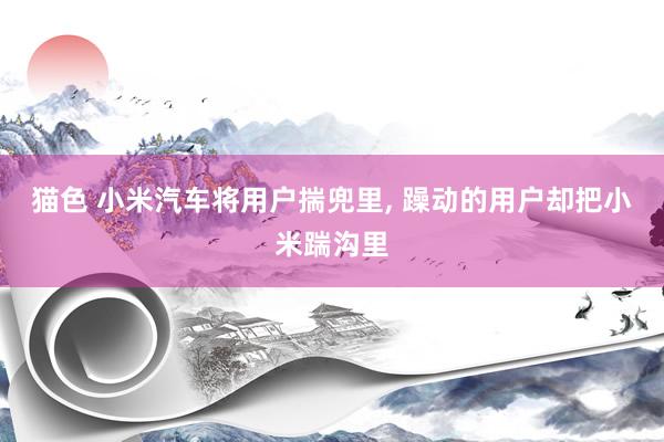 猫色 小米汽车将用户揣兜里， 躁动的用户却把小米踹沟里