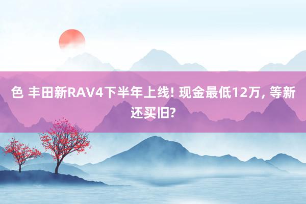 色 丰田新RAV4下半年上线! 现金最低12万， 等新还买旧?