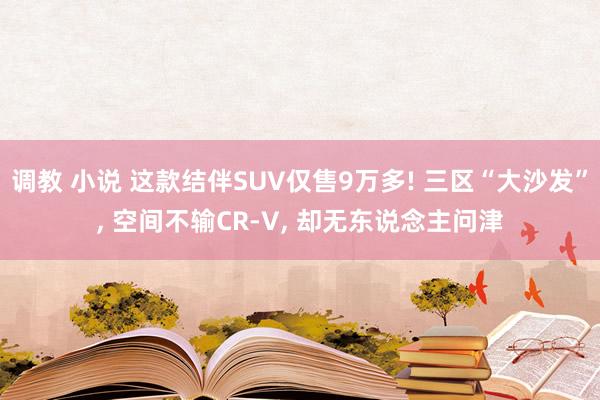 调教 小说 这款结伴SUV仅售9万多! 三区“大沙发”， 空间不输CR-V， 却无东说念主问津