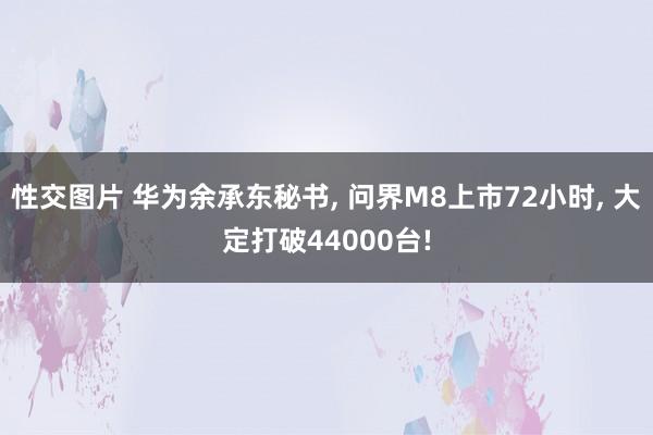 性交图片 华为余承东秘书， 问界M8上市72小时， 大定打破44000台!