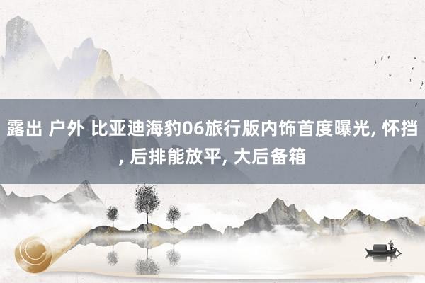 露出 户外 比亚迪海豹06旅行版内饰首度曝光， 怀挡， 后排能放平， 大后备箱