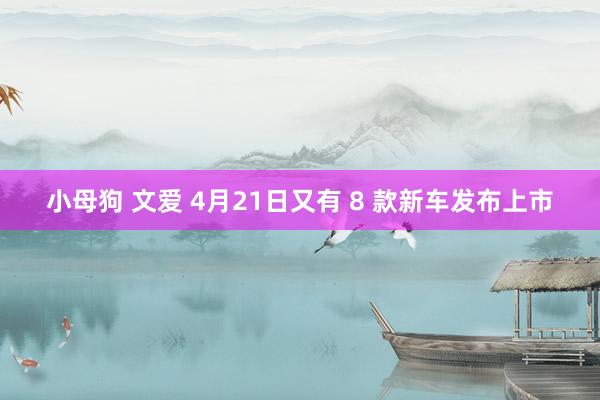 小母狗 文爱 4月21日又有 8 款新车发布上市
