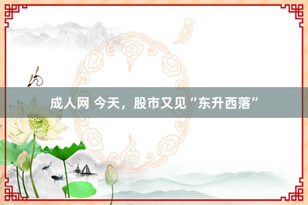 成人网 今天，股市又见“东升西落”
