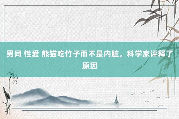 男同 性愛 熊猫吃竹子而不是内脏。科学家评释了原因