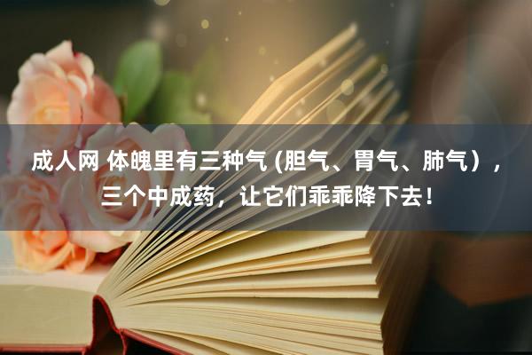 成人网 体魄里有三种气 (胆气、胃气、肺气），三个中成药，让它们乖乖降下去！
