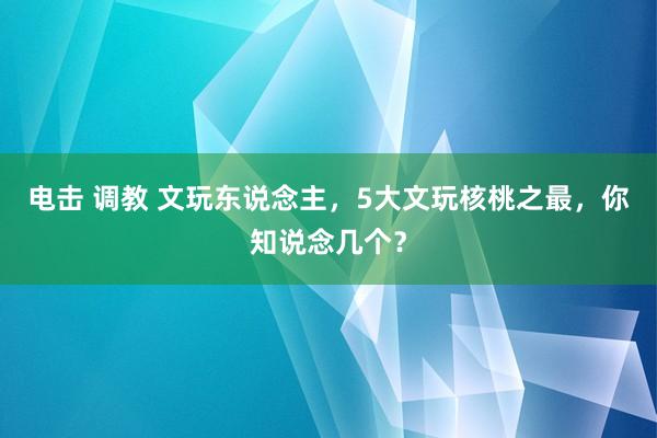 电击 调教 文玩东说念主，5大文玩核桃之最，你知说念几个？