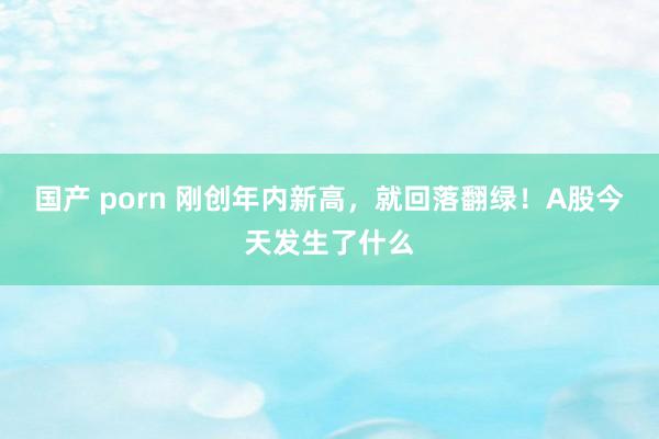 国产 porn 刚创年内新高，就回落翻绿！A股今天发生了什么